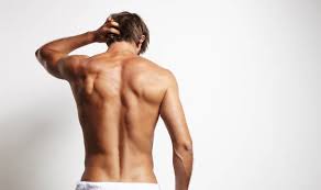 背中が筋肉痛にならない理由は 体幹トレーニング方法navi